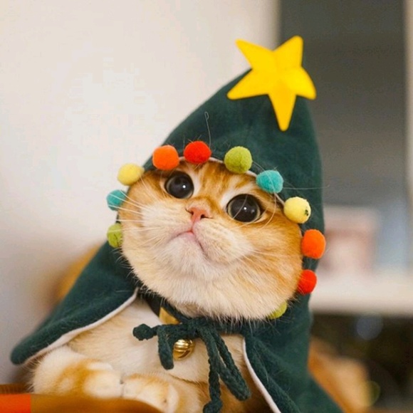 Meet your Posher, Andrea - Picture 1 of 1